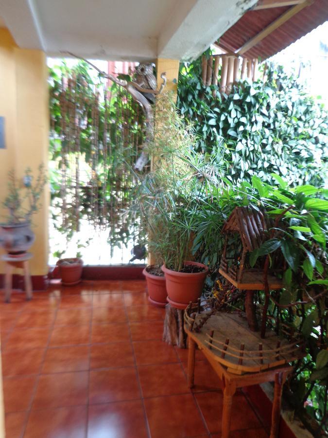 Hotel Encuentro Del Viajero パナハチェル エクステリア 写真